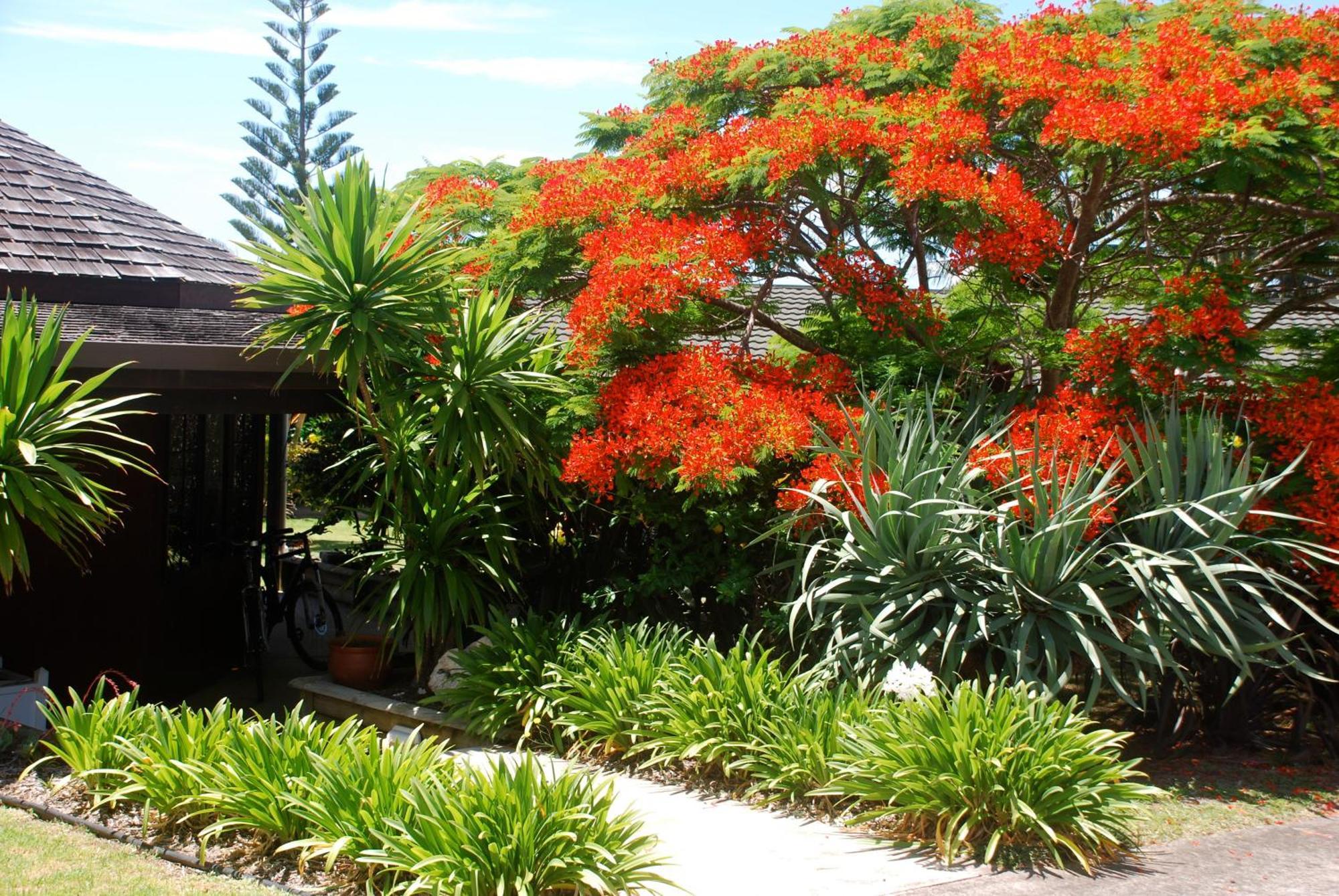 Coast Norfolk Island Apartman Burnt Pine Kültér fotó