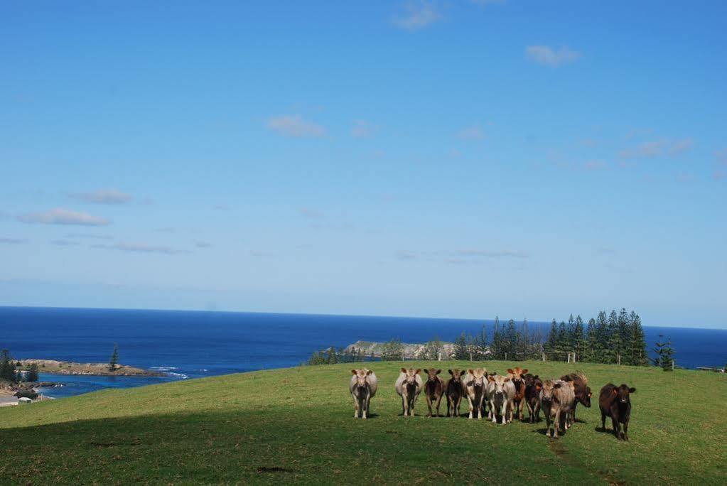 Coast Norfolk Island Apartman Burnt Pine Kültér fotó